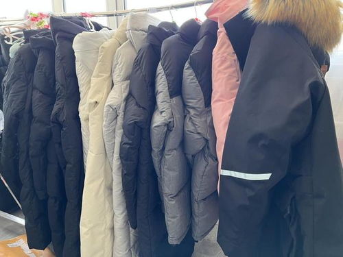 冰城羽绒服租赁火出圈，外地“小金豆”纷纷点赞 温暖贴心还划算